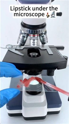 लिपिस्टिक under the microscope 😱🔬 #shorts #facts #microscope #1million #amazingfacts #science #fyp