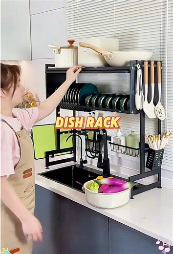 Best Dish Rack with Door for Kitchen Organization