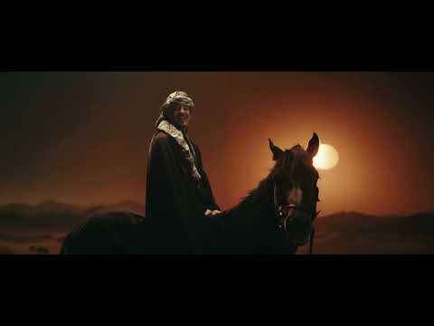 bogdan DLP ALADAM // VIDEO OFFICIAL