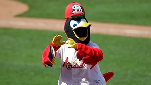 Fredbird honored as 9th MLB mascot in Mascot Hall of Fame induction