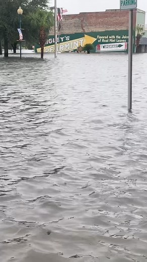 Mega flood in Live Oak, Florida from Hurricane Debby | Reed Timmer Extreme Meteorologist