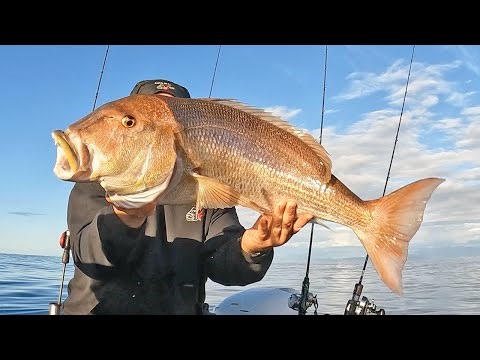 ΣΥΝΑΓΡΙΔΑ ΤΕΡΑΣ 😱 ΨΆΡΙΑ ΌΝΕΙΡΟ | ΨΆΡΕΜΑ στο ΙΌΝΙΟ ❤️ ‪@ZAVRASFISHING‬