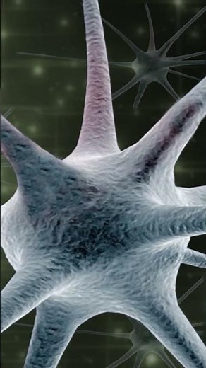 ⚡ The nervous system: your body's "internet" 🧠 | @HappyLearningES