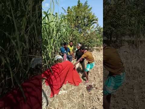 🤣 Best Comedy Full Video 2026 | Non-Stop Laugh Out Loud Clips”