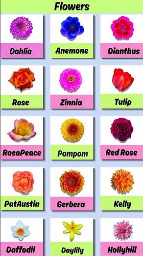 Flowers Name with pictures | 🌺 Flowers #flowers