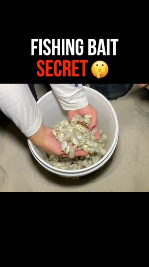 Fishing bait secret 🤫 | Phil Hollandsworth