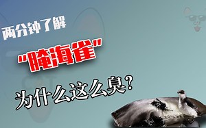 因纽特人的美食腌海雀，制作这种奇臭的食物原来是为了补充维生素_哔哩哔哩_bilibili