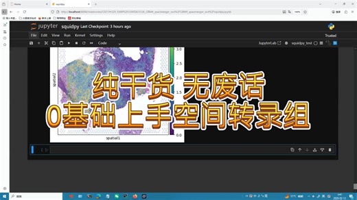 squidpy空间转录组生信分析 从零开始：细胞通讯分析