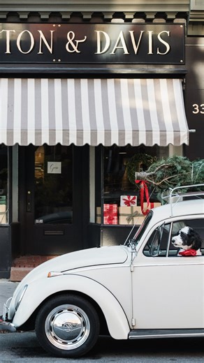 Jess ⬩ Hired Hand Signs on Instagram: "I made up an award and the winner is @martonanddavis 🌟👏🥇 “STOREFRONT TRANSFORMATION OF THE YEAR!” I tell my clients that signage is one of the most important investments you will make in your business. It’s the first impression potential customers have of your shop. Great signage can get people in the door and create a lasting impression. The old adage is that the client will make more from the sign than the signmaker ever will. And there is no better ex