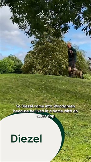 12K views · 152 reactions | Diezel found himself at Woodgreen when he...