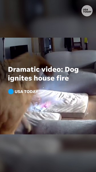 Video captures dog spark house fire after chewing on cell phone battery pack