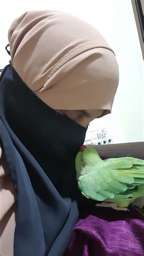 The Cutest Moments Of The Internet's Favorite Parrot#likesharesubscribe #ytshorts #love #birds #cute