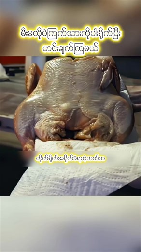 မီးမလိုပဲကြက်သားကိုပါးရိုက်ပြီးဟင်းချက်ကြမယ် #ဘာသာပြန် #bartarpyan #documentary #reality #tiktok