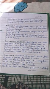 B. sc 3 semester botany experiments