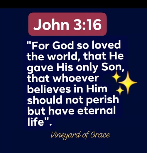 1.3K views · 59 reactions | John 3:16 is a famous Bible verse: "For...