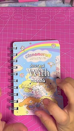 Mini Journal #fypシ #fypシ゚viral #fyppppppppppppppppppppppp #fyp #journaling #journalist #journalwithme #journal