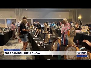 Discover Rare Shells at Sanibel Shell Show