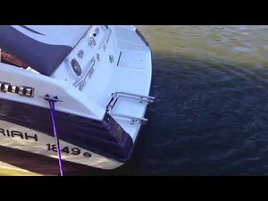 Mariah Z220 454 start up