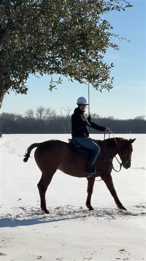 Aaron Diaz Spencer | Estoy soñando? Creo que si… Raw clips- cuál gana1,2o3? | Instagram
