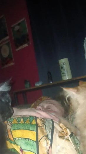 I love my cute little alarm clocks, but how do ya tell em that today's ur day off and you can sleep in??? Lol | Jamie Roum | Facebook