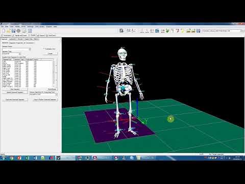 Visual3Dの使い方1_基本編