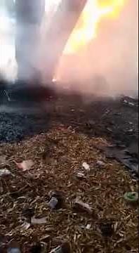 Moana and Elisha's screams at Ginimbi accident scene show they could have been saved