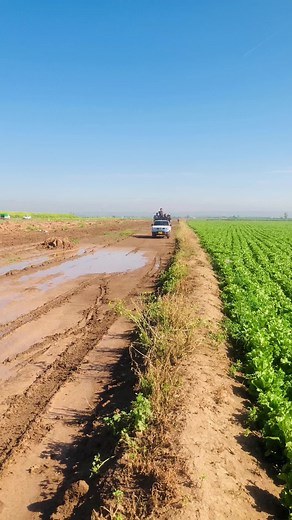 Understanding the Importance of Captioning in Videos