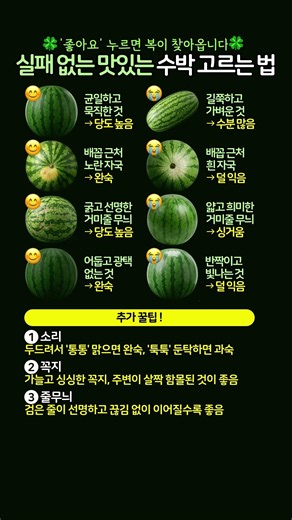 실패 없는 맛있는 꿀수박 고르는 방법 #수박 #생활꿀팁