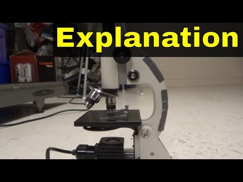 How Does A Microscope Work-Easy Explanation For Beginners