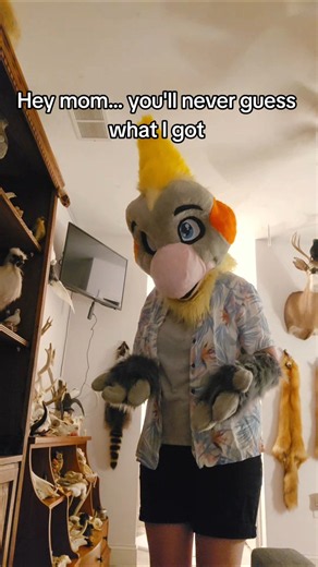 #furry #birdfurry #fursuit #bird #furries