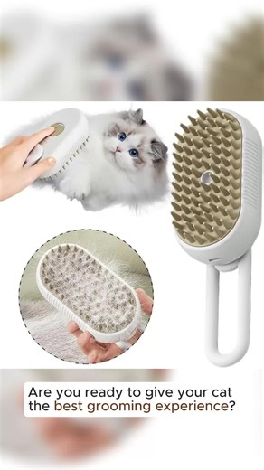 Cross connections (@crosconnection)’s videos with original sound - Cross connections