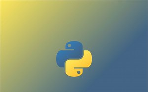 python web开发案例