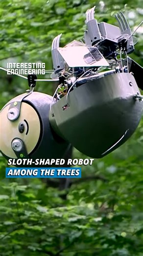 This robot lives among the trees to monitor plants, animals, and the environment. | Interesting Engineering