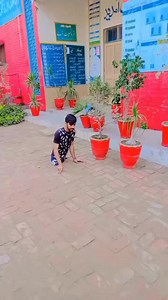 Please intarloop jop ke zarorat hi please number Whatsapp 03057294458 | Faisal Ali