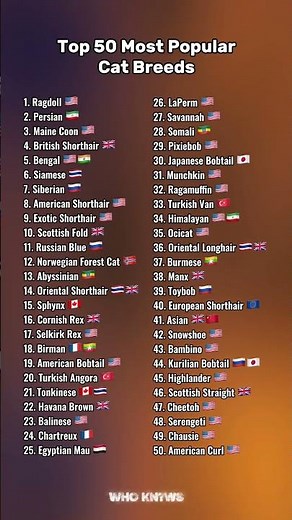 Top 50 Most Popular Cat Breeds 🐈