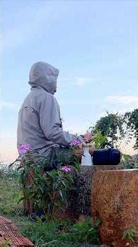 My Tiny House in Di Linh Lam Dong - Căn nhà nhỏ Di Linh phố núi Lâm Đồng 1/2026