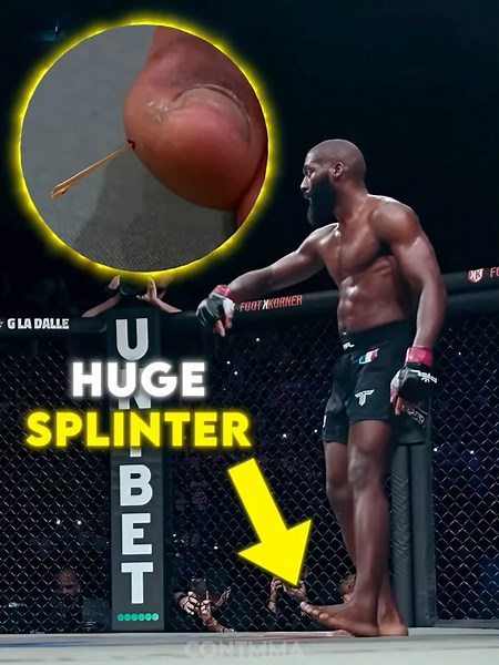 Why Did he do This?