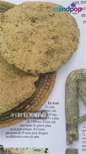 Strange Discoveries Inside Ancient Egyptian Tombs