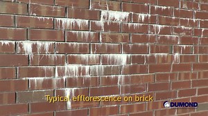 1.2K views | Safe 'n Easy® Efflorescence Remover is a non-toxic product that replaces conventional mineral and organic acids for the removal of efflorescence, otherwise known as crystaline deposits. | Dumond Inc. | Facebook