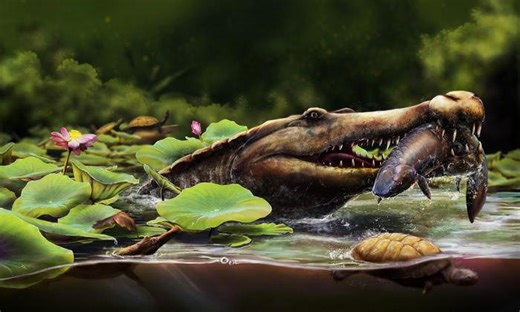 Sharp-toothed fossil proves sea-going crocodiles originated in Africa
