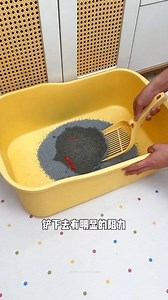 Best Sand For Cats 🤯 #cat #shortvideo | Suraj Saini