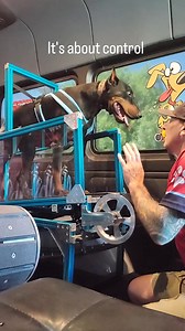 11K views · 401 reactions | Control is the ultimate strength. The ability to control the intensity is the ultimate expression of the combination of mental and physical exercise. #rundawg #mobiledoggym #dogexercise | Run Dawg | Facebook