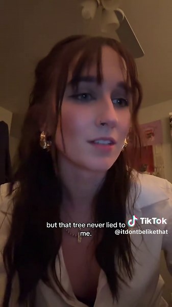 The Tree Outside My Bedroom Window