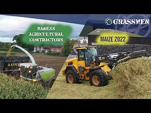 Maize with Banks's Agricultural Contractors Ltd