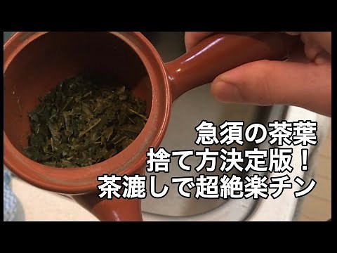 【決定版】急須の茶葉の捨て方 茶漉し活用で簡単！