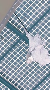 Bionic Robot with Artificial Intelligence by. Festo Robotics Part #4 #technologyandtechnicplusartandsport #fypシ゚viralシ #reelsfb #mechanicalengineering #reelsindonesia #reelindia #reelinstagram #bionicrobot #mechanicalprinciple #reels | Technology & Technic + Art & Sport | Facebook