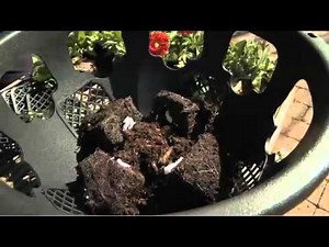 The Easy Fill Hanging Basket