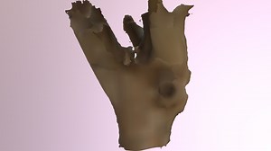 Tree Trunk - 3D model by jiblidroid