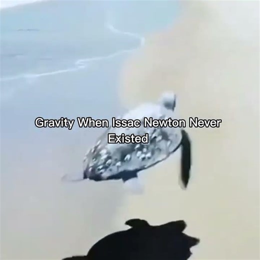 Gravity When Issac Newtown Never Existed #memes