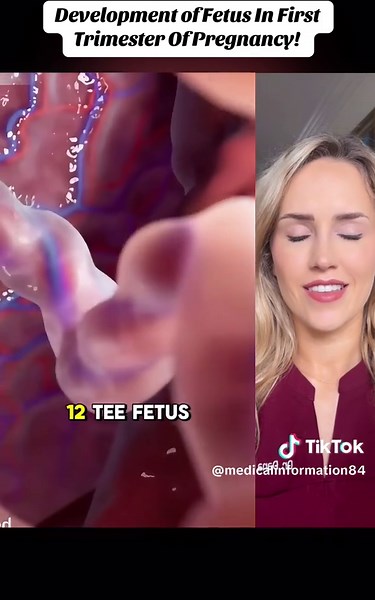 Development of Fetus In First Trimester Of Pregnancy! (3D Animation) #firstrimester #firsttrimestrepregnancy #fetusdevelopment #fetusdevelopmentweekbyweek #babygrowth #birth #birthprocess #pregnant #creatorsearchinsights